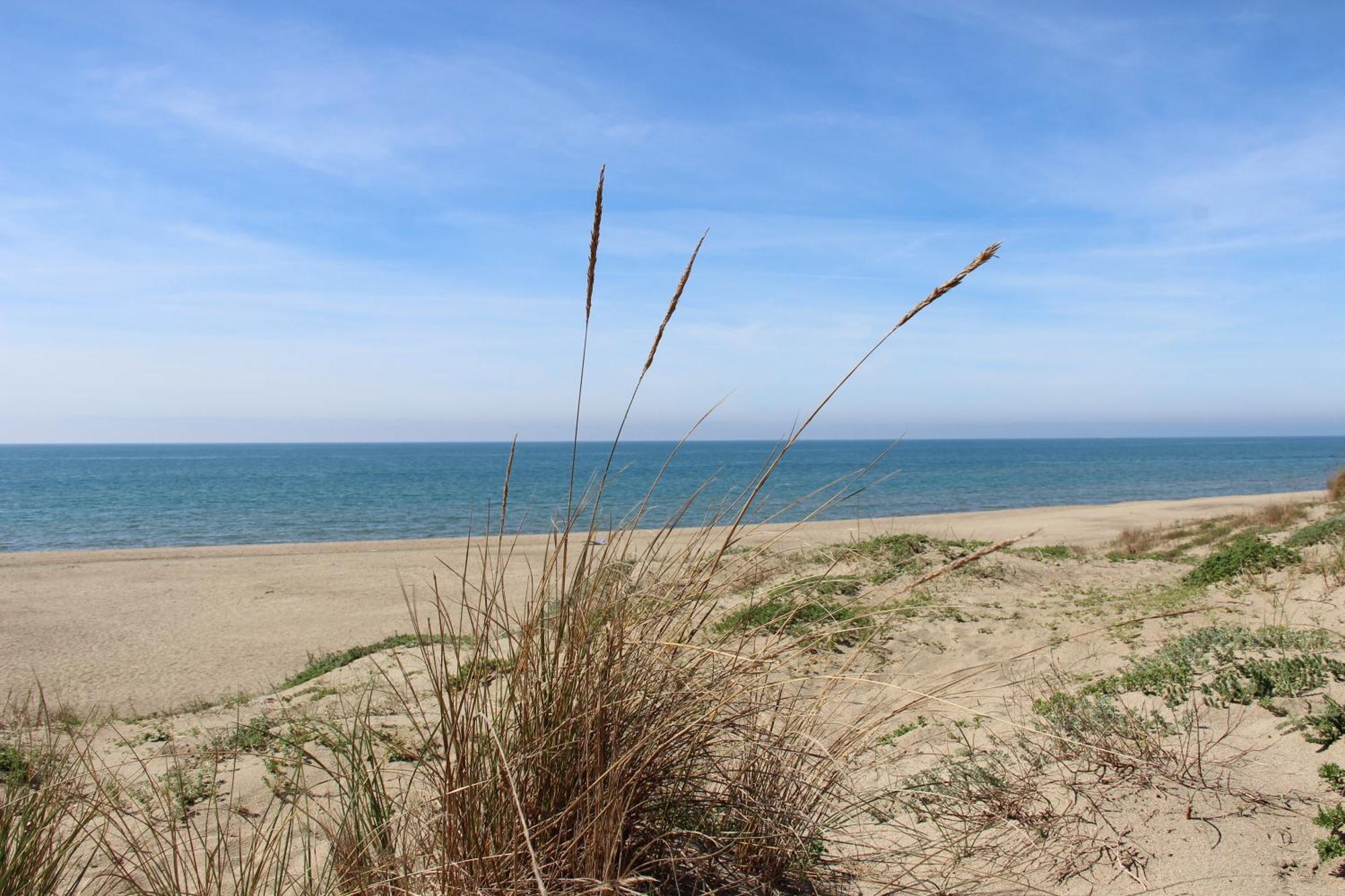 Appartamento Via Dei Fabbri Navali Lido di Ostia Dış mekan fotoğraf