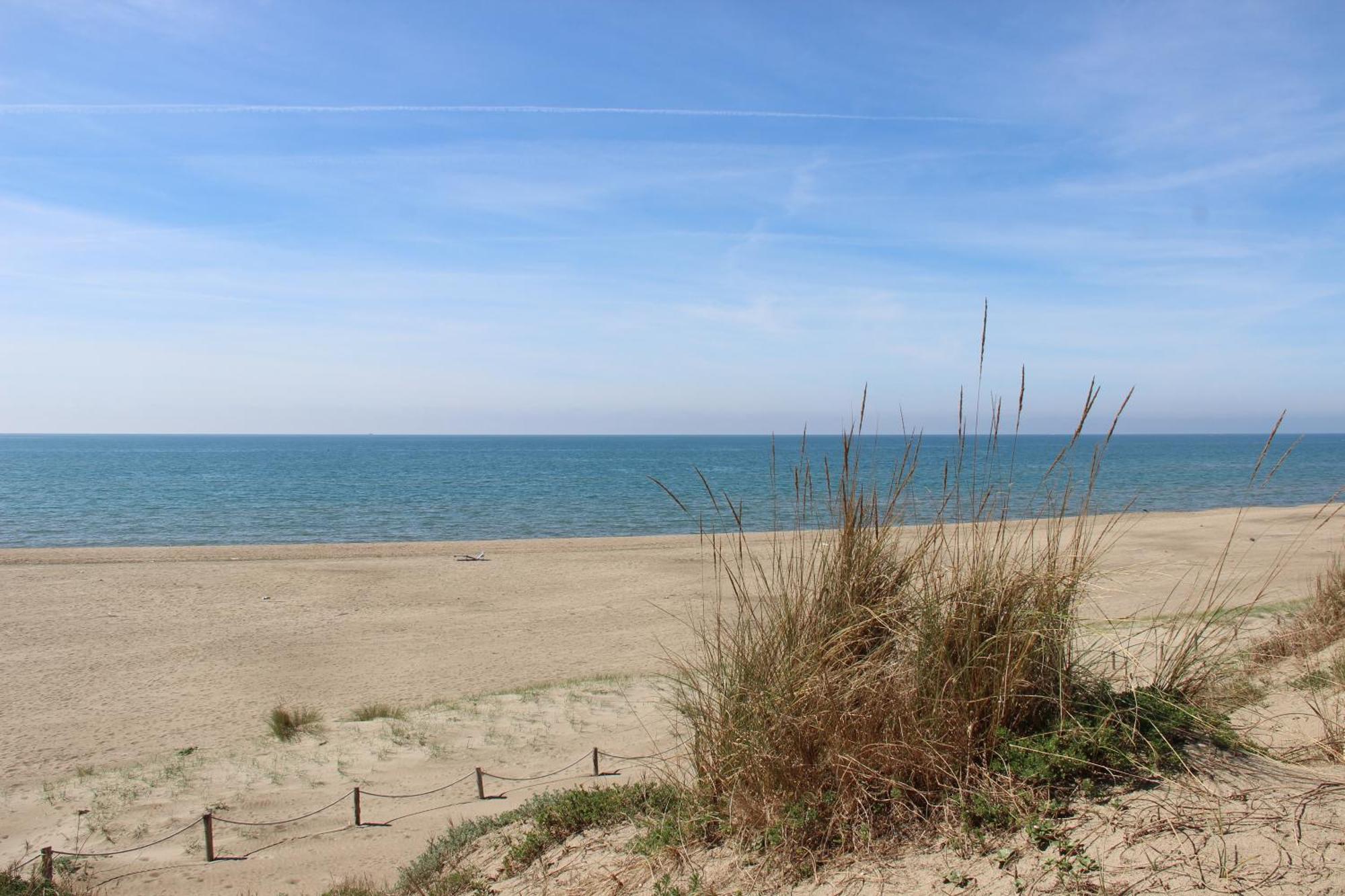 Appartamento Via Dei Fabbri Navali Lido di Ostia Dış mekan fotoğraf